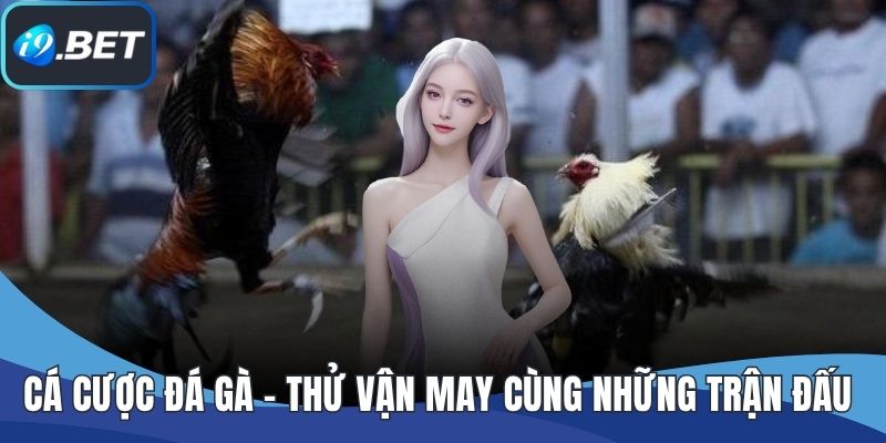 Cá Cược Đá Gà - Thử Vận May Cùng Những Trận Đấu Nảy Lửa