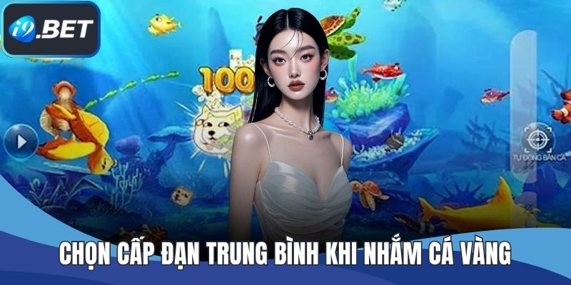 Chọn cấp đạn trung bình khi nhắm cá vàng