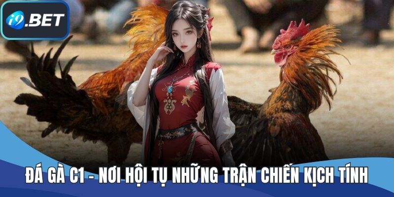 Đá Gà C1 – Nơi Hội Tụ Những Trận Chiến Kịch Tính, Công Bằng