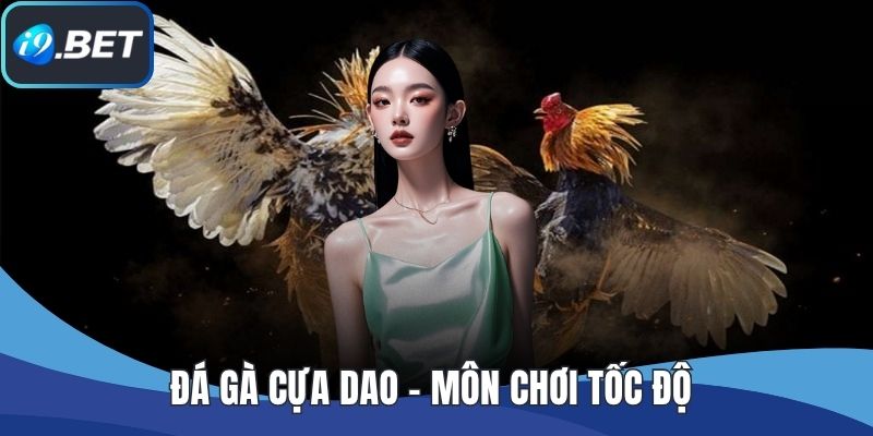Đá Gà Cựa Dao – Môn Chơi Tốc Độ Dành Cho Người Bản Lĩnh