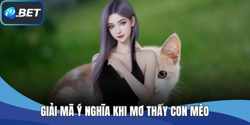 Giải mã ý nghĩa khi mơ thấy con mèo