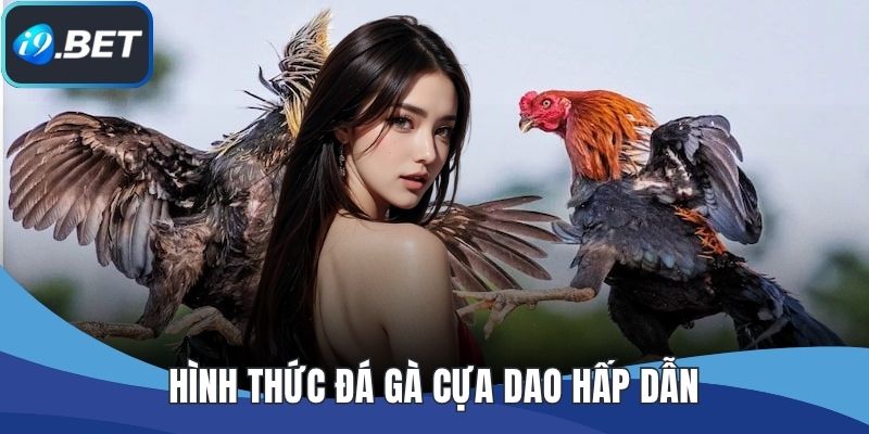 Hình thức đá gà cựa dao hấp dẫn