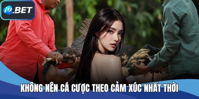 Không nên cá cược theo cảm xúc nhất thời