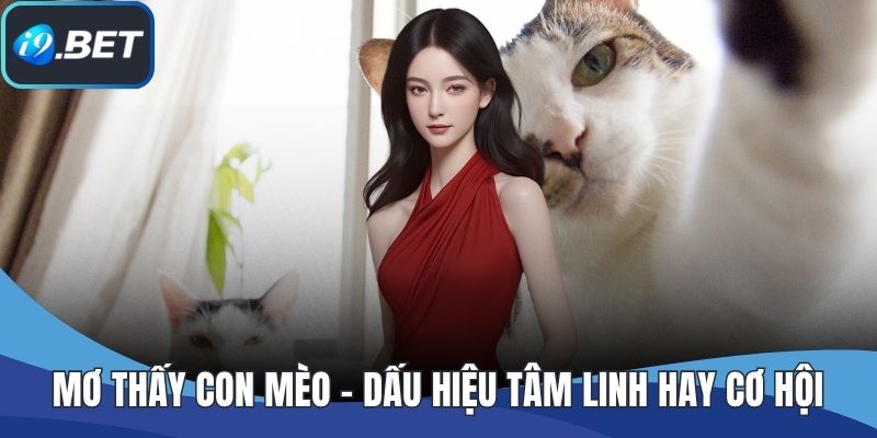 Mơ Thấy Con Mèo - Dấu Hiệu Tâm Linh Hay Cơ Hội Phát Tài?