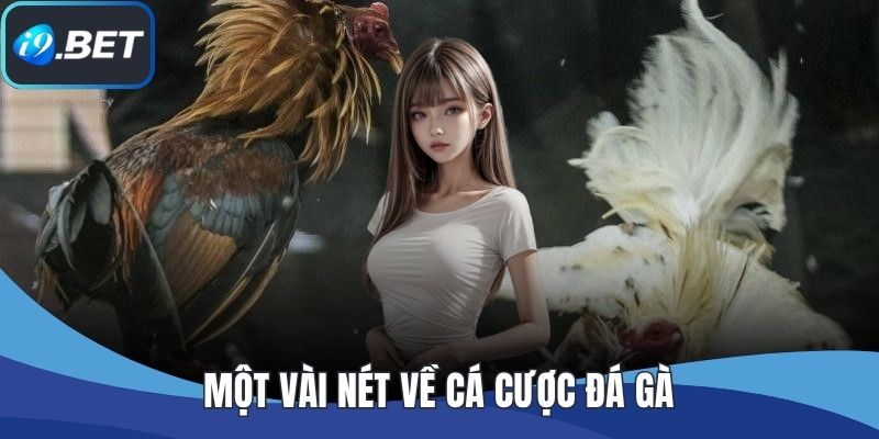 Một vài nét về cá cược đá gà