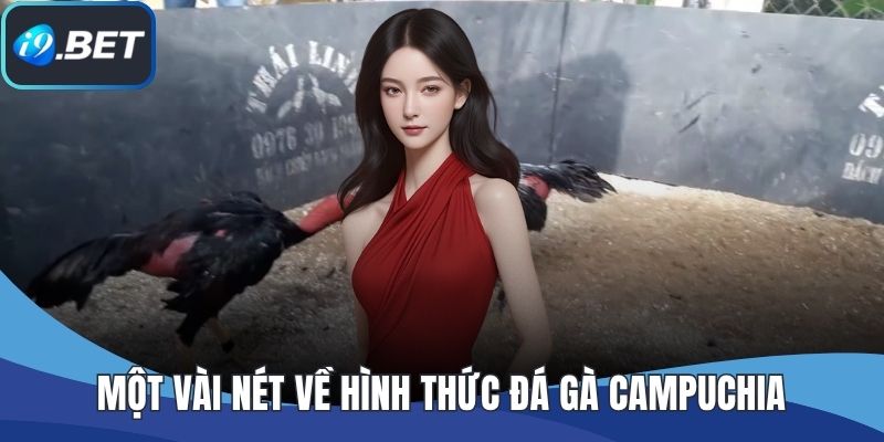Một vài nét về hình thức đá gà Campuchia