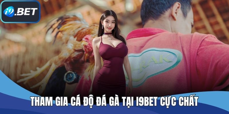 Tham gia cá độ đá gà tại I9BET cực chất