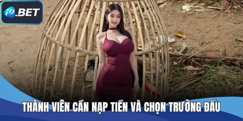 Thành viên cần nạp tiền và chọn trường đấu