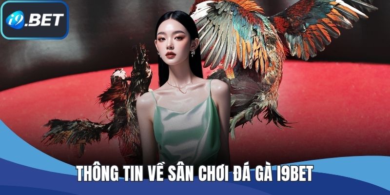Thông tin về sân chơi đá gà I9BET