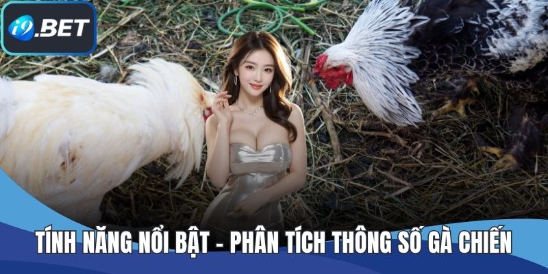 Tính năng nổi bật - Phân tích thông số gà chiến