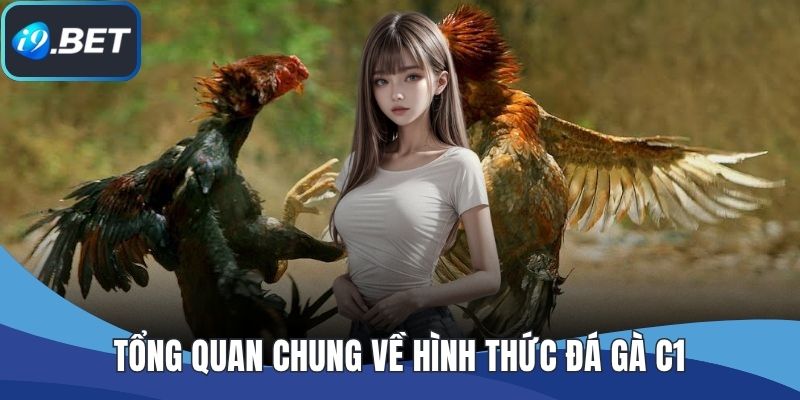 Tổng quan chung về hình thức đá gà C1