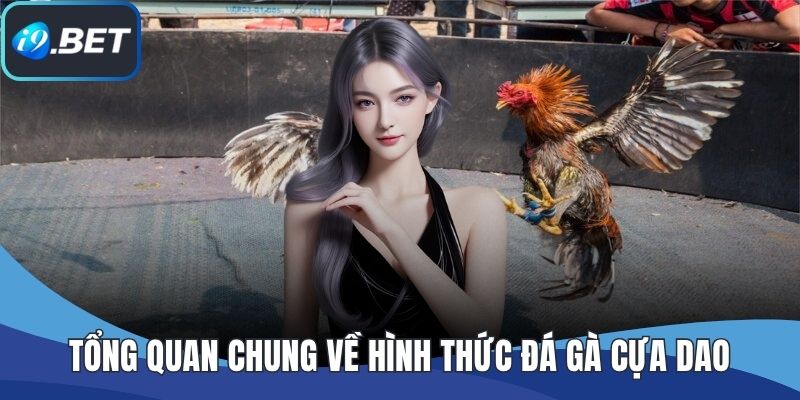 Tổng quan chung về hình thức đá gà cựa dao